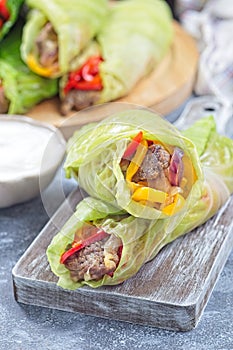 Beef and vegetable cabbage leaves wraps, served with plain yogurt, vertical