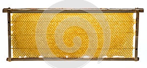 The beeframe with beecombs texture