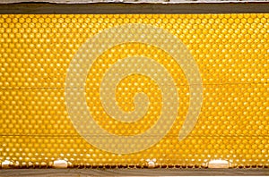 the beeframe with beecombs texture