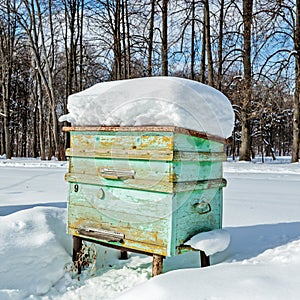 Beehive in the apiary in winter. Heavy frost