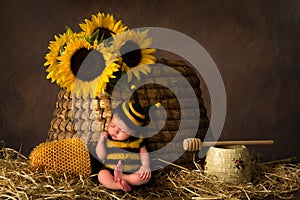 Beehive and baby in bee outfit