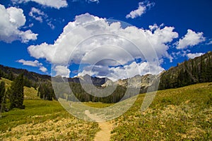 Beehive Basin Trail