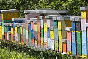 Beehive boxses