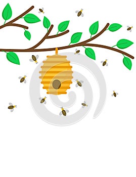 Beehive on a branch with bees