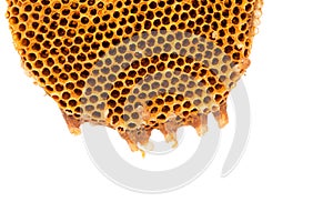 Beehive deserted isolated