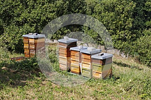 Beehive, different beehives on a meadow