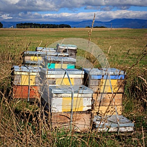 Beehive farm box