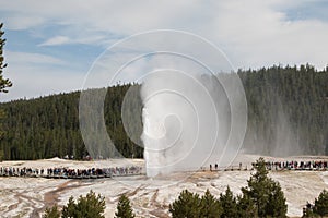 Beehive Geyser eruption in Yellowstone National Park