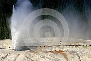 Beehive geyser in Yellowstone national park