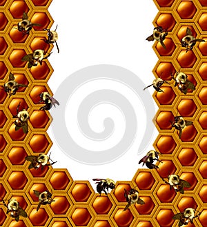 Beehive Honeycomb Frame