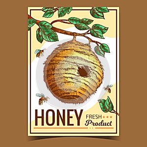 Beehive House Of Wild Bee On Branch Poster Vector