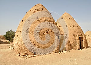 Beehive houses