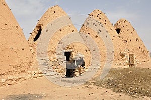 Beehive houses with donkey