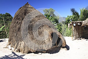 Beehive hut near Boti village, West Timor
