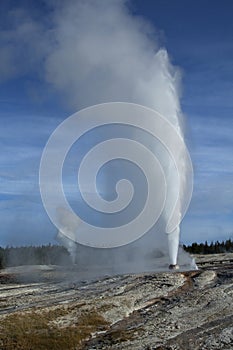 Beehive and Lion Geysers Erupt