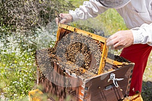 A beehive man-made structure to house a honey bee nest in Greek fields