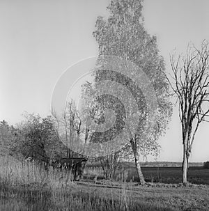 A beehive shelter inside a wooden hut in the countryside near Zurich, shot with analogue film technique