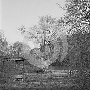 A beehive shelter inside a wooden hut in the countryside near Zurich, shot with analogue film technique