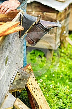 Beehive Spring Management. Apiary.