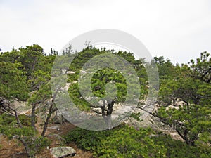 Beehive Trail, Acadia National Park, Main