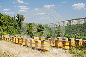 Beehives