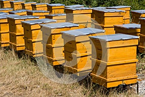 Beehives