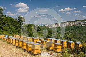 Beehives