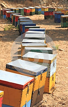 Beehives