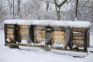 Beehives boxes in wintertime