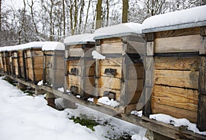 Beehives boxes in wintertime