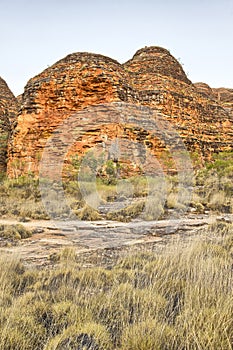 Beehives in Bungle Bungles National Park
