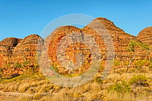 Beehives in Bungle Bungles National Park