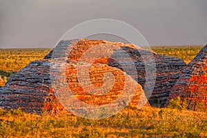 Beehives in Bungle Bungles National Park