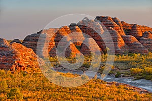 Beehives in Bungle Bungles National Park