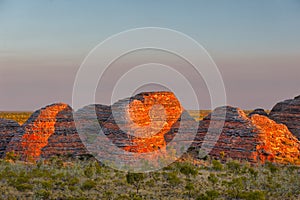 Beehives in Bungle Bungles National Park