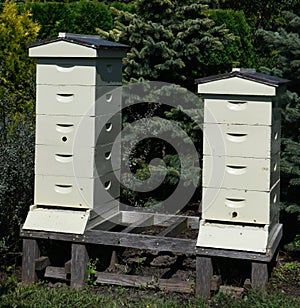 Beehives at Chicago Botanic Gardens