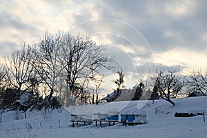 beehives covered with snow in winter