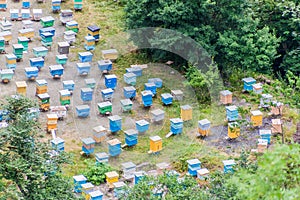 Beehives in Dilijan National Park in Armen