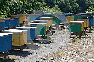 Beehives