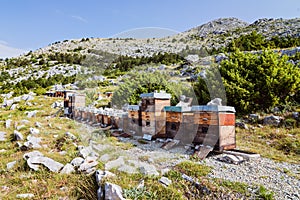 Beehives in mountains.