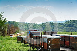 Beehives mounted on trailer standing in a field of grass.
