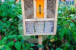 Beehouse house for bees insect home for honey