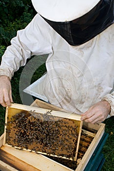 Beekeeper #1