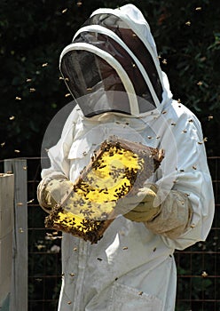 Beekeeper photo