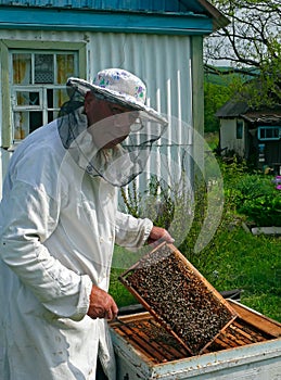 Beekeeper 13
