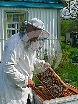 Beekeeper 14
