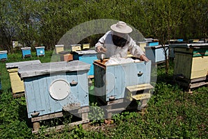 Beekeeper