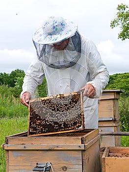 Beekeeper 15