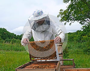 Beekeeper 16