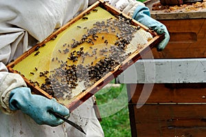 Beekeeper